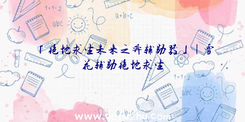 「绝地求生未来之弈辅助器」|雪花辅助绝地求生